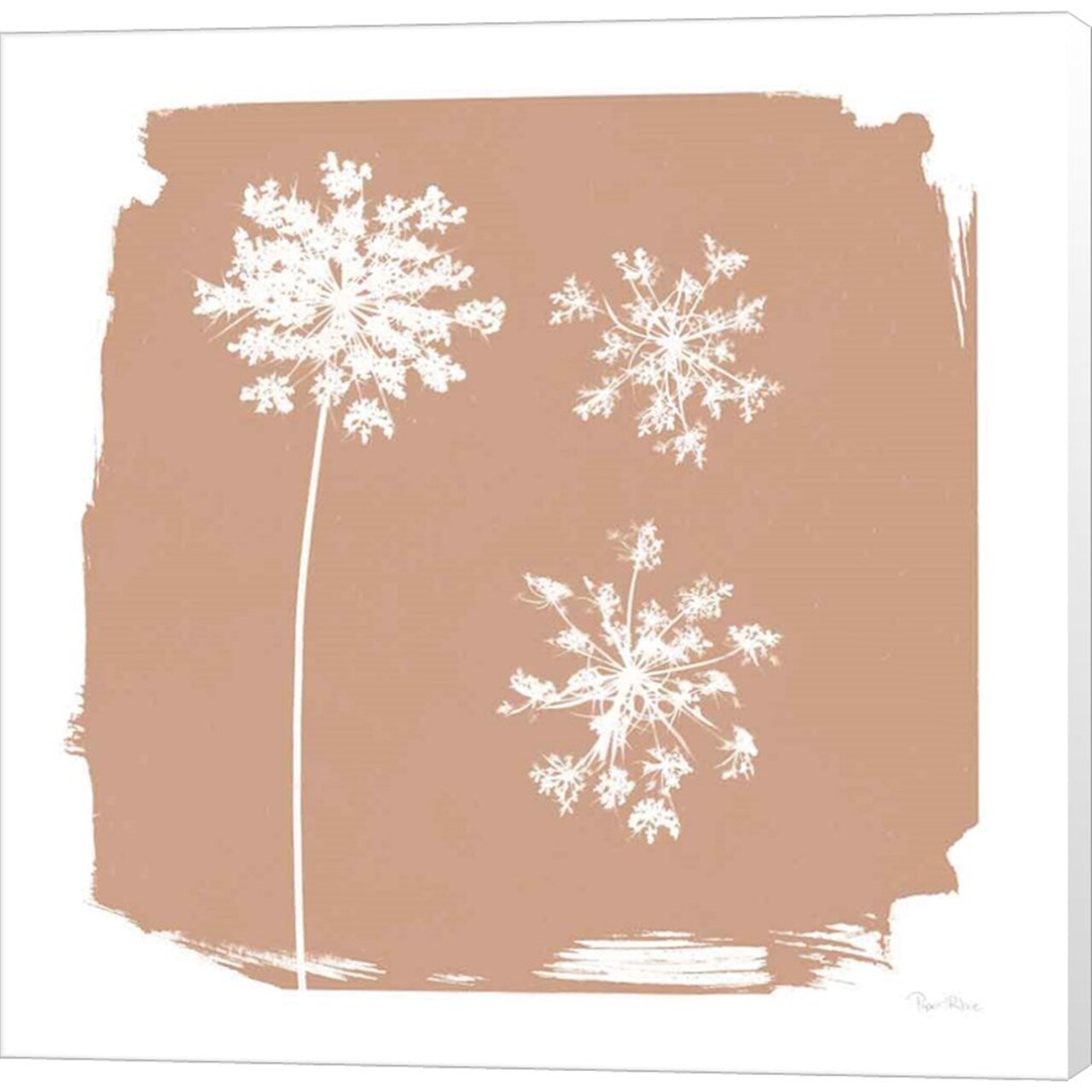 Nature by the Lake Flowers III Neutral by Piper Rhue - 24x24 Canvas Art Print